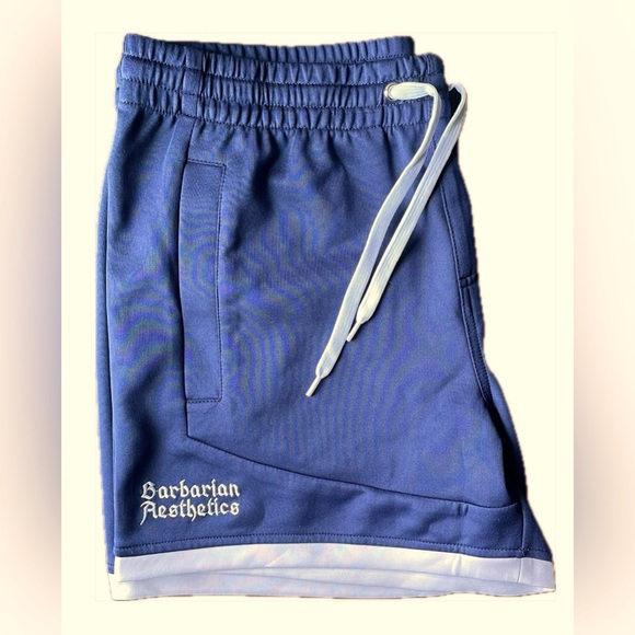 Barbarian Aesthetics Apparel Men’s Training Shorts for the Gym, Blue Size Large - Picture 3 of 5